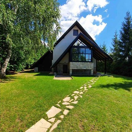 Вилла Planinska Kuca Sa Dvoristem Златибор Экстерьер фото
